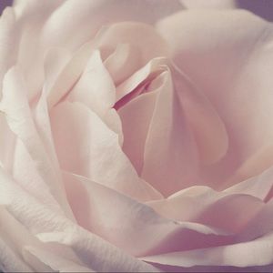 Happy to be a new member of Poshmark!